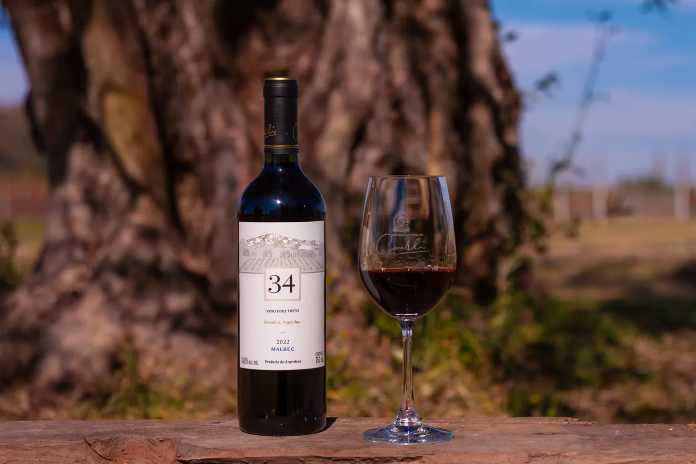 Botella de 34 Malbec sobre un olivo del parque