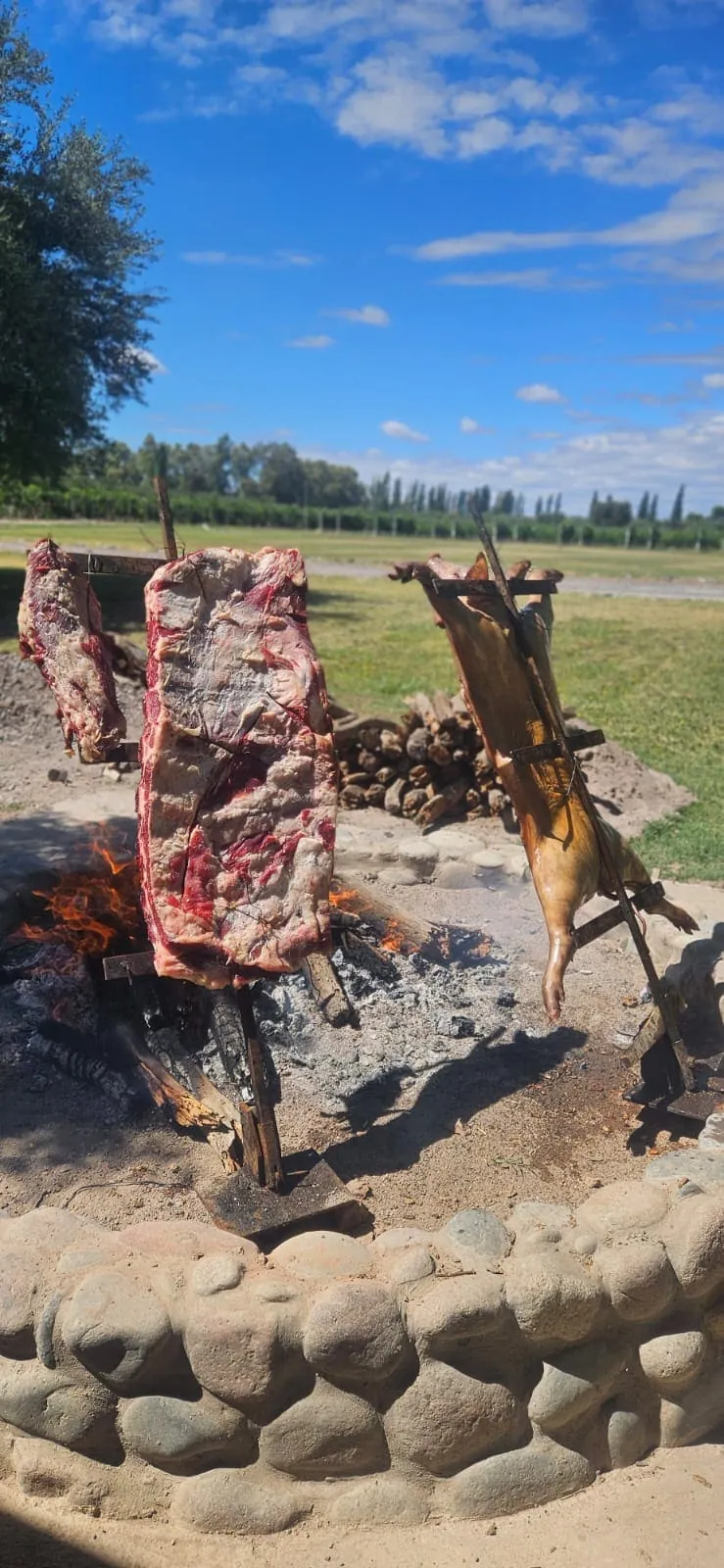 Asado en el parque