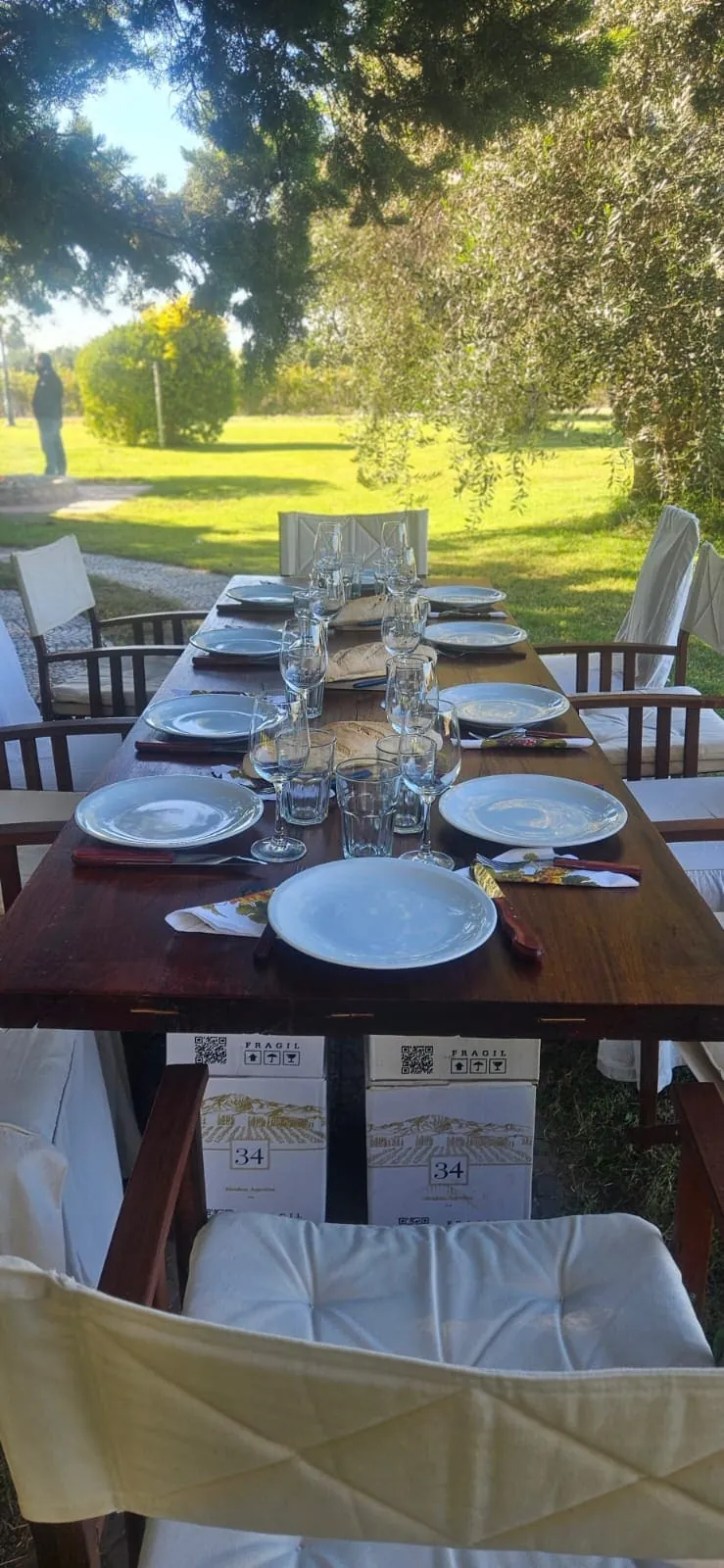 Mesa bajo los árboles del parque