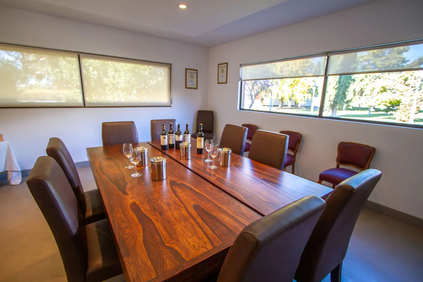 Sala de degustación de Bodega Carelli con vista al parque