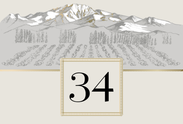 Tasting box 34 (x12 bottles)